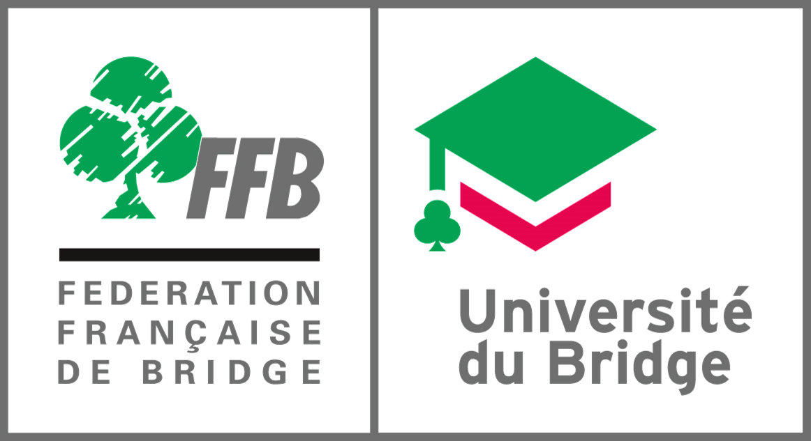 Logo_Universite_Bridge_300_Dpi_Transparent